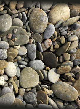 pebble