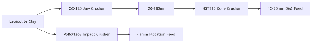 Plant Configuration for Lithium Ore Types